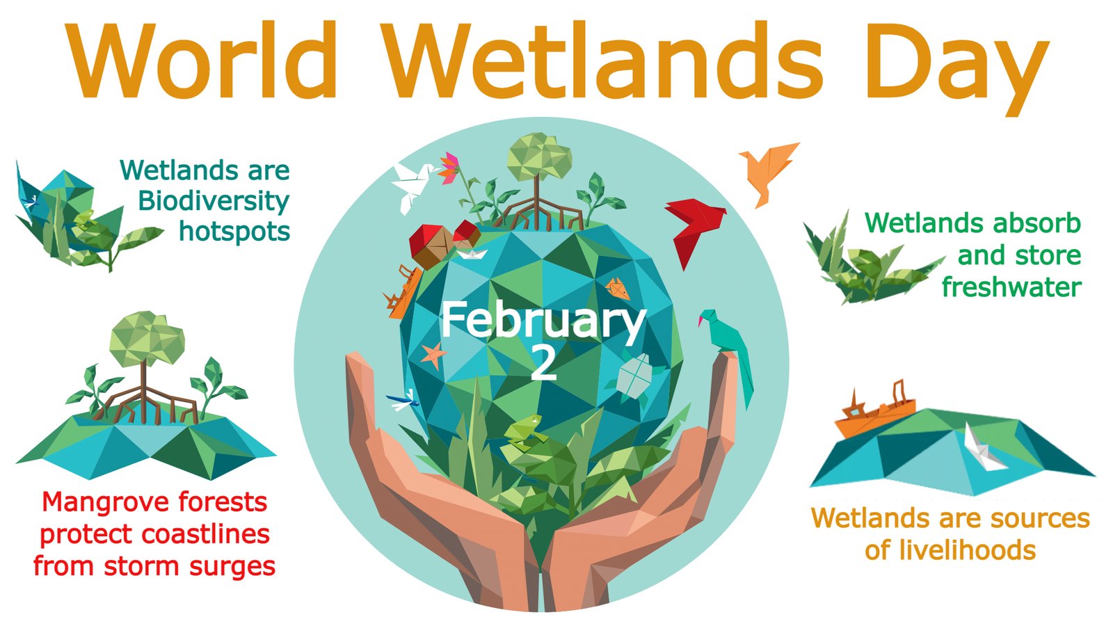 2nd February 2024 World Wetlands Day HD Photos